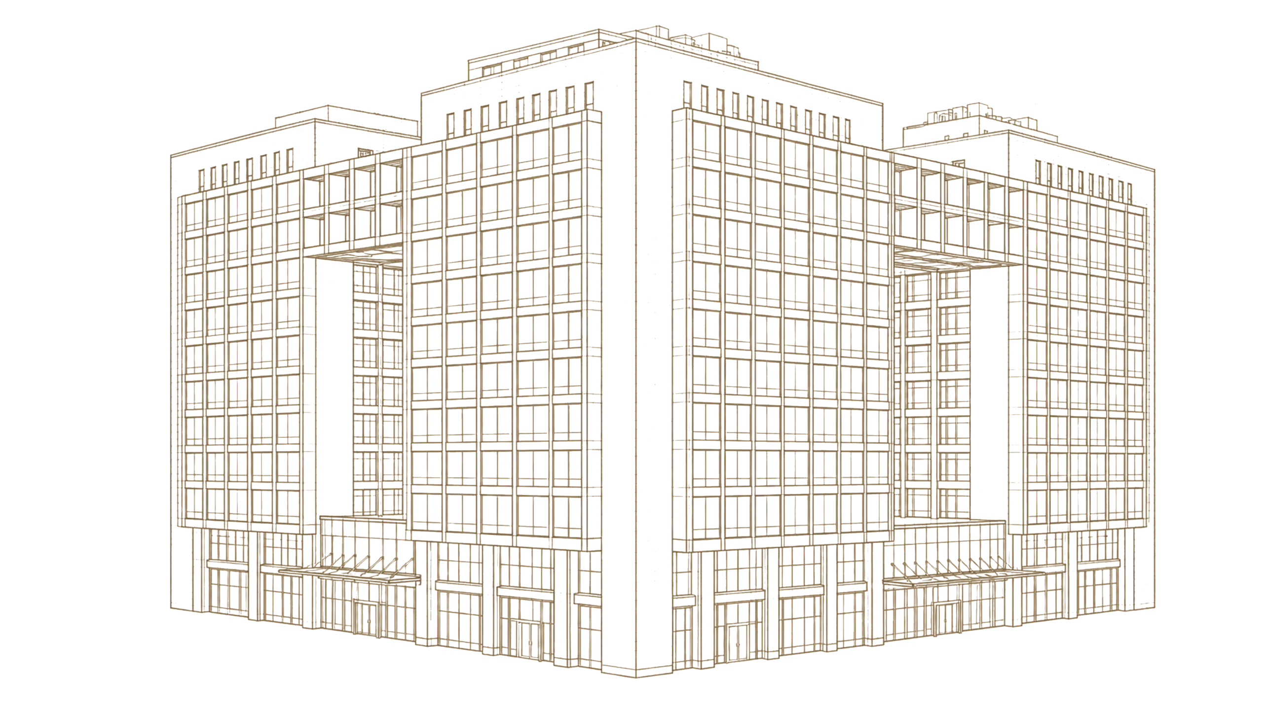 雍贵中心完整楼体建筑线稿